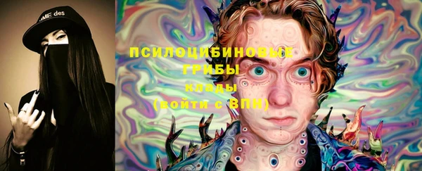 первитин Алексин
