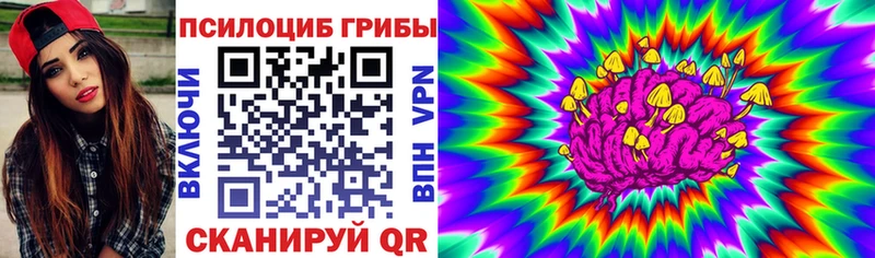 Псилоцибиновые грибы прущие грибы  kraken   Бакал 